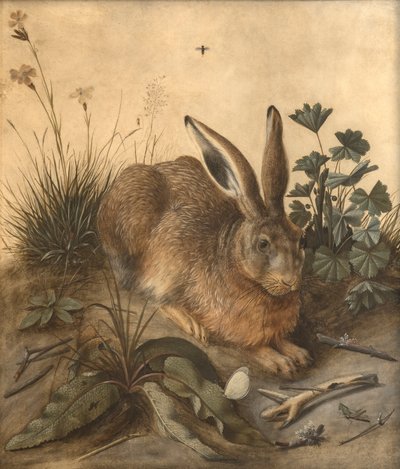 Haren af Hans Hoffmann