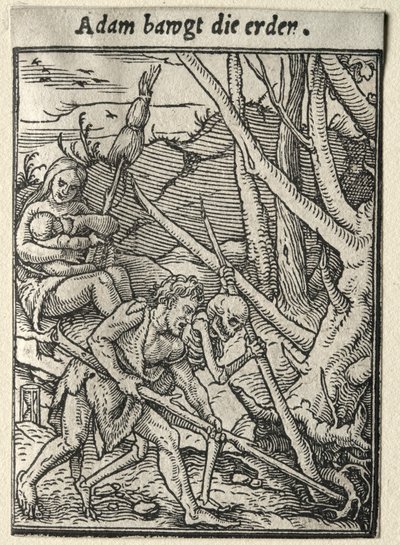Dødedansen: Adam Tilling the Ground af Hans Holbein