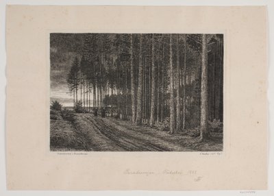Regnvejrsdag i granskoven af Hans Julius Fæster