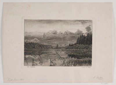Søen i granskoven af Hans Julius Fæster