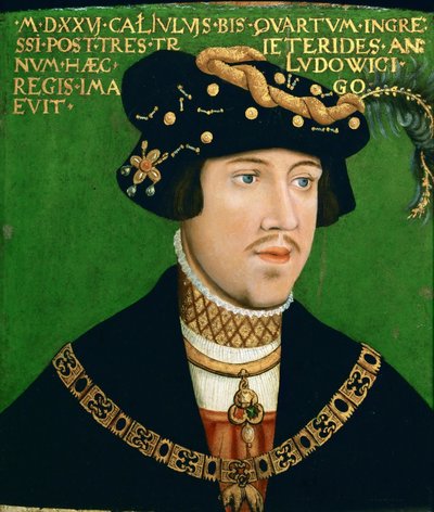 Portræt af Ludvig II, konge af Ungarn (1506-1526) af Hans Krell