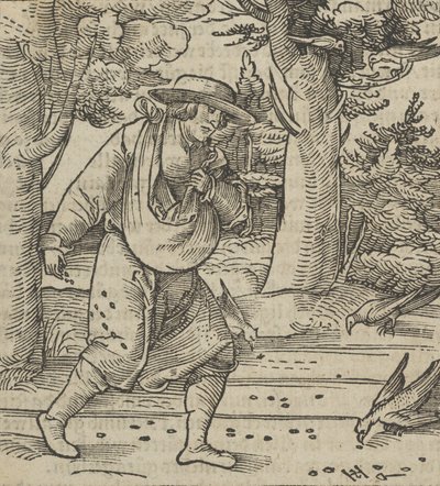 Fuglene spiser frøene af såmanden, fra Hymmelwagen auff dem, wer wol Leben..., 1517. af Hans Schäufelein the Elder