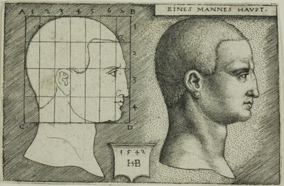 Profilstudie af mandens hoved af Hans Sebald Beham