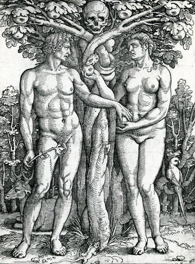 Adams og Evas fald, ca. 1525-27 (træsnit) af Hans Sebald Beham