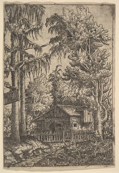 Hytte blandt træer, 1551. af Hans Sebald Lautensack