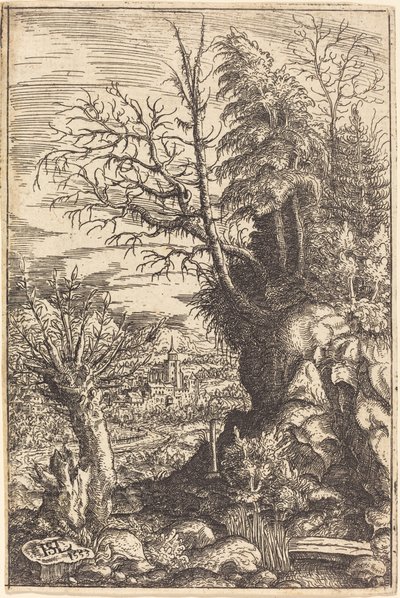 Landskab med pil, 1553. af Hans Sebald Lautensack