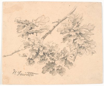 Studie af egegrene af Hans Smidth