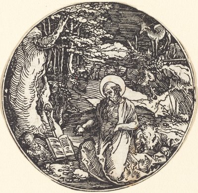 Sankt Hieronymus i anger af Hans Springinklee