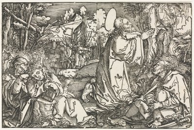 Smerten i haven af Hans Weiditz