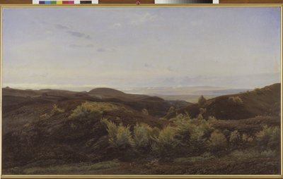 Heather Hills ved Rye, Jylland af Harald Foss