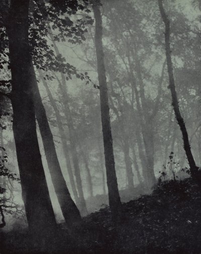buede vandreture i tusmørkelunde Og skygger brune Af fyrretræ eller monumental eg, Milton (s/h foto) af Harold Burdekin