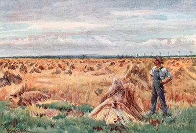 Langs Manitobas hvedemarker af Harold Copping