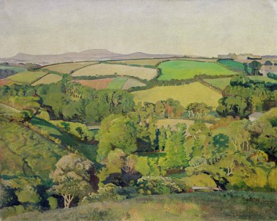 Drift Valley (olie på lærred) af Harold Harvey
