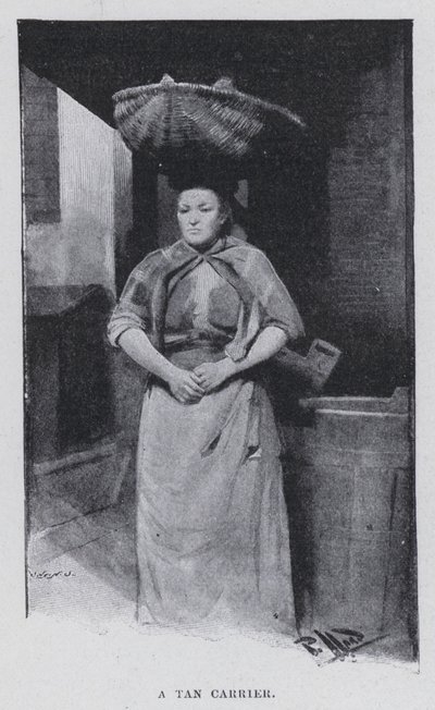 En solbrun bærer (s/h foto) af Harold Hume Piffard