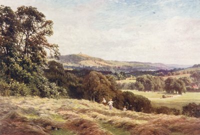 A Hayfield, Wonersh (farvelitografi) af Harold Sutton Palmer