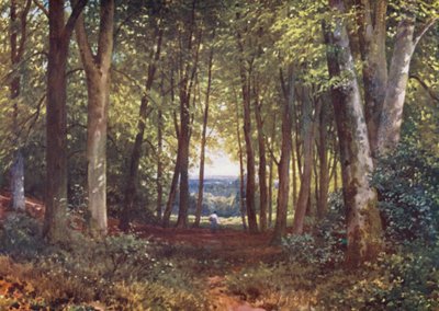 Deer-Leap Wood, Wotton (farvelitografi) af Harold Sutton Palmer