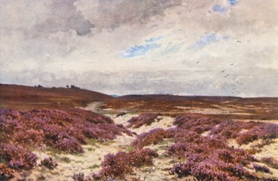 Frensham Common (farvelitografi) af Harold Sutton Palmer