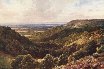 Fra bakkerne over Peaslake, nær Gomshall (farvelitografi) af Harold Sutton Palmer