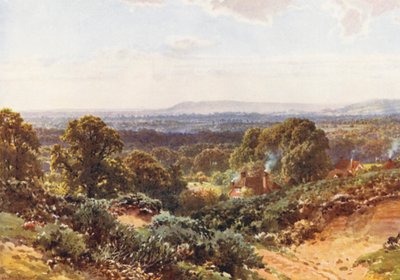 Sandhills, kigger mod Blackdown (farvelitografi) af Harold Sutton Palmer
