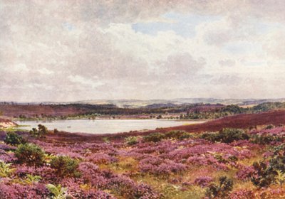 Den store dam, Frensham (farvelitografi) af Harold Sutton Palmer