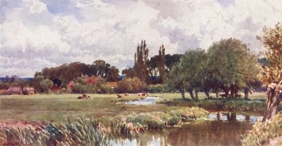 The Meads, Farnham (farvelitografi) af Harold Sutton Palmer