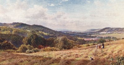 The Vale of Dorking (farvelitografi) af Harold Sutton Palmer