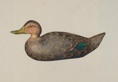 Lokkeand af Harriette Gale