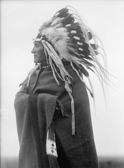 Lazy Boy, indianerhøvding af Harris & Ewing