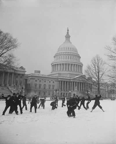 Sneboldkamp foran U.S. Capitol, Washington, D.C. af Harris & Ewing