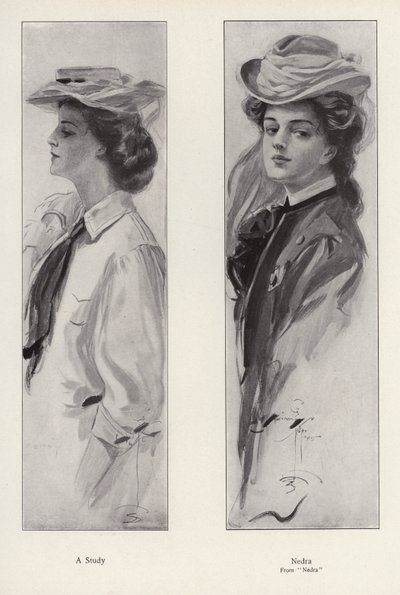 Karakteren Nedra fra romanen Nedra, af George Barr McCutcheon (litho) af Harrison Fisher