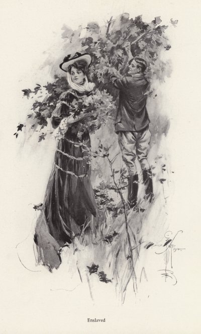 Kvinde plukker blomster med en mandlig beundrer (litho) af Harrison Fisher