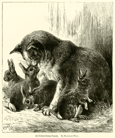 En ekstraordinær familie af Harrison William Weir