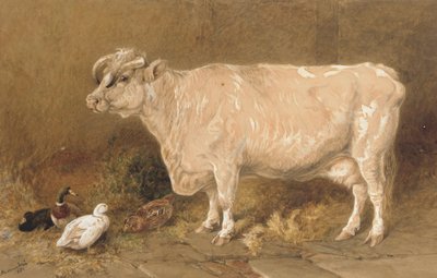 Ko med ænder i en stald af Harrison William Weir