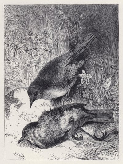 Robins makkers død (gravering) af Harrison William Weir