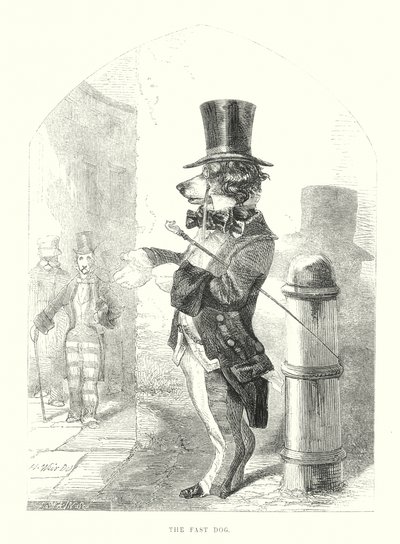 Sjove hunde: Den hurtige hund (gravering) af Harrison William Weir