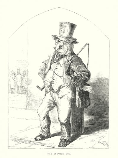Sjove hunde: Den vidende hund (gravering) af Harrison William Weir