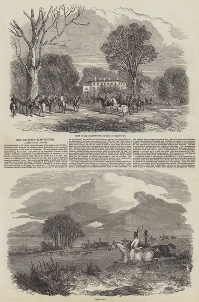 Hendes Majestæts Stag-Hounds i Hillingdon af Harrison William Weir
