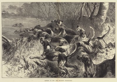 Mid-Kent Staghounds af Harrison William Weir