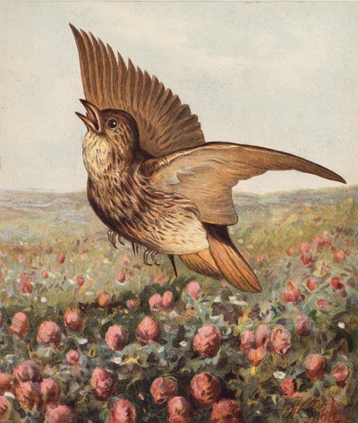 I kløveren (farvelitografi) af Harrison William Weir