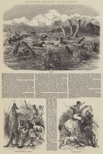 Kængurujagt i Australien af Harrison William Weir
