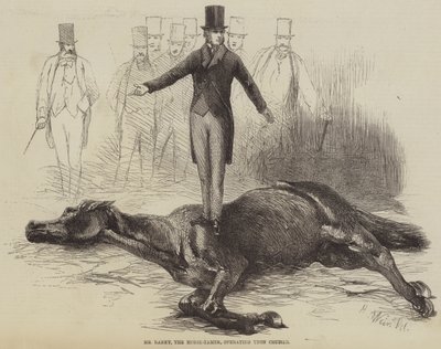 Hr. Rarey, hestetæmmeren, der opererer på Cruiser af Harrison William Weir