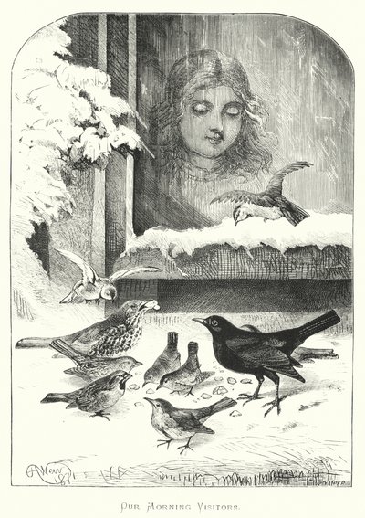 Vores morgengæster af Harrison William Weir