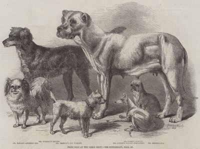 Præmiehunde ved Leeds Show af Harrison William Weir