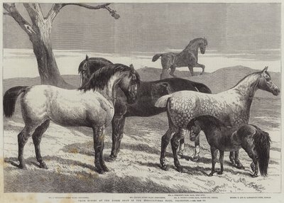 Præmieheste ved Horse Show i Agricultural Hall, Islington af Harrison William Weir