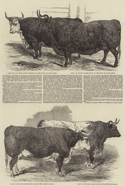 Smithfield Clubs årlige udstilling af Harrison William Weir