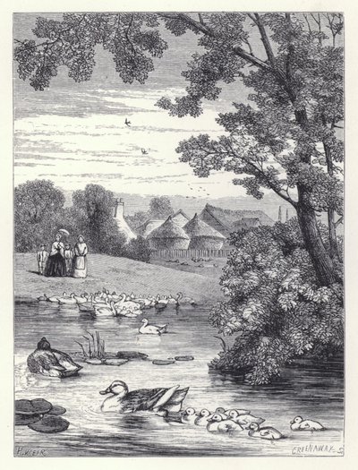 Andedammen (gravering) af Harrison William Weir