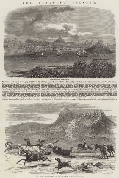 Falklandsøerne af Harrison William Weir