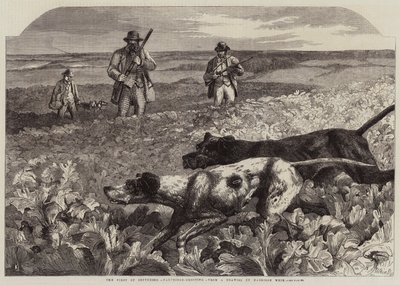 Den første september, Agerhønsskydning (gravering) af Harrison William Weir