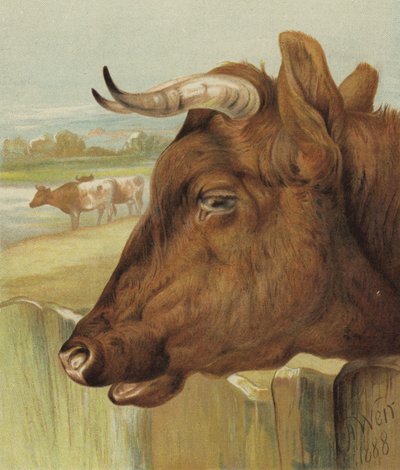 Vennen af børnehaven (chromolitho) af Harrison William Weir