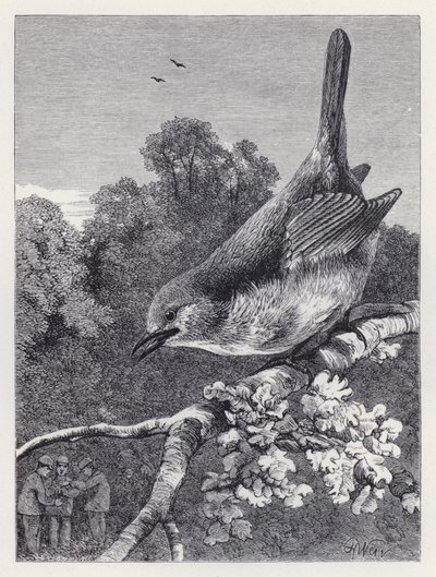 The Robin Watching the Boys with the Nest (gravering) af Harrison William Weir